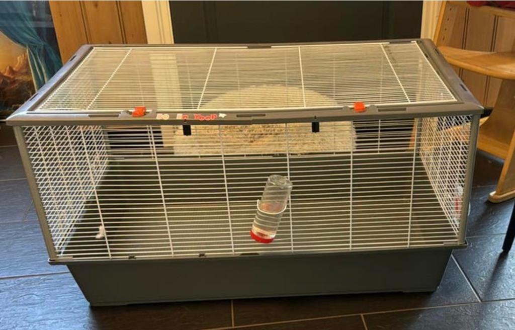 Opruiming !!!Ferplast Criseti Hamsterkooi 100 cm, Ophalen, Zo goed als nieuw, Kooi, Minder dan 60 cm