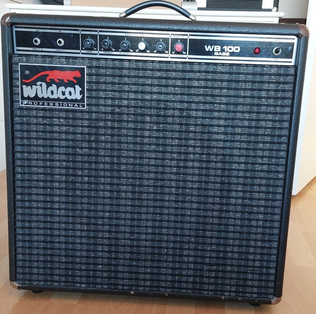 Wildcat WB 100 Bass Versterker - Vintage Bass Combo, Ophalen, Gebruikt, Basgitaar, 100 watt of meer
