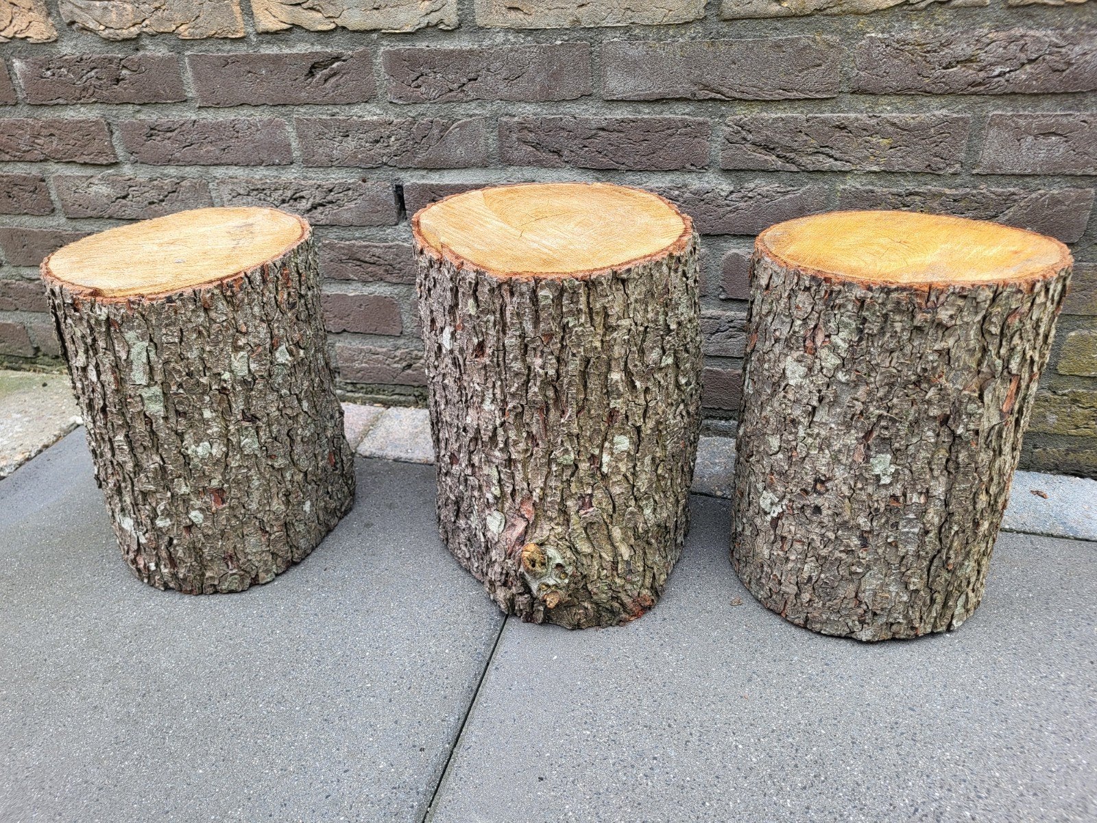 Decoratieve boomstammen voor feesten en bruiloften, Minder dan 3 m³, Ophalen, Overige houtsoorten, Stammen