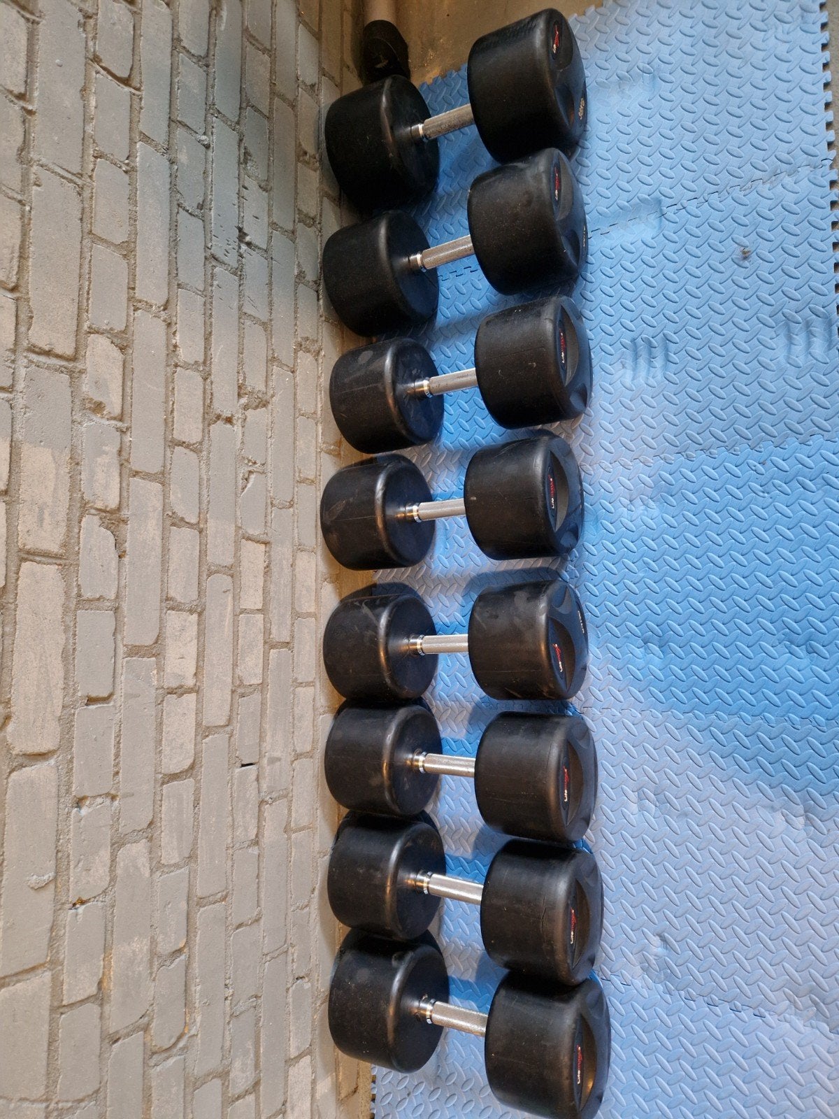 LifeMaxx Dumbbells 32KG, 34KG, 36KG, 38KG, Ophalen, Gebruikt, Rug, Dumbbell