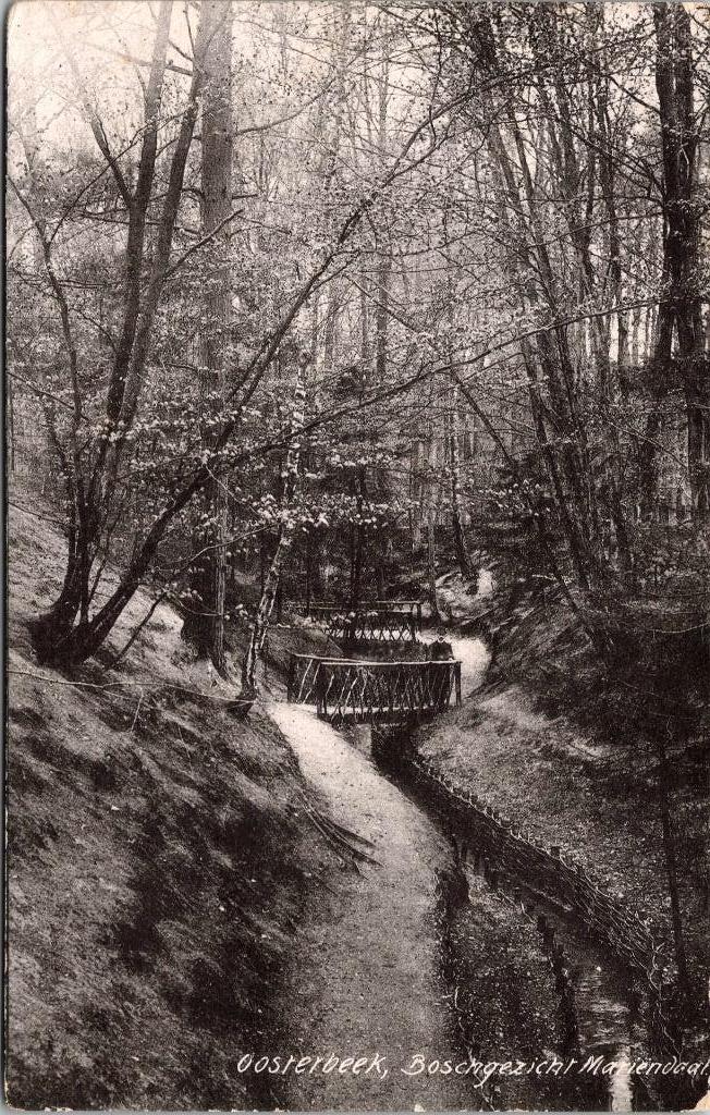 Oosterbeek - Boschgezicht Mariëndaal (1908), Verzenden, Voor 1920, Ongelopen, Gelderland