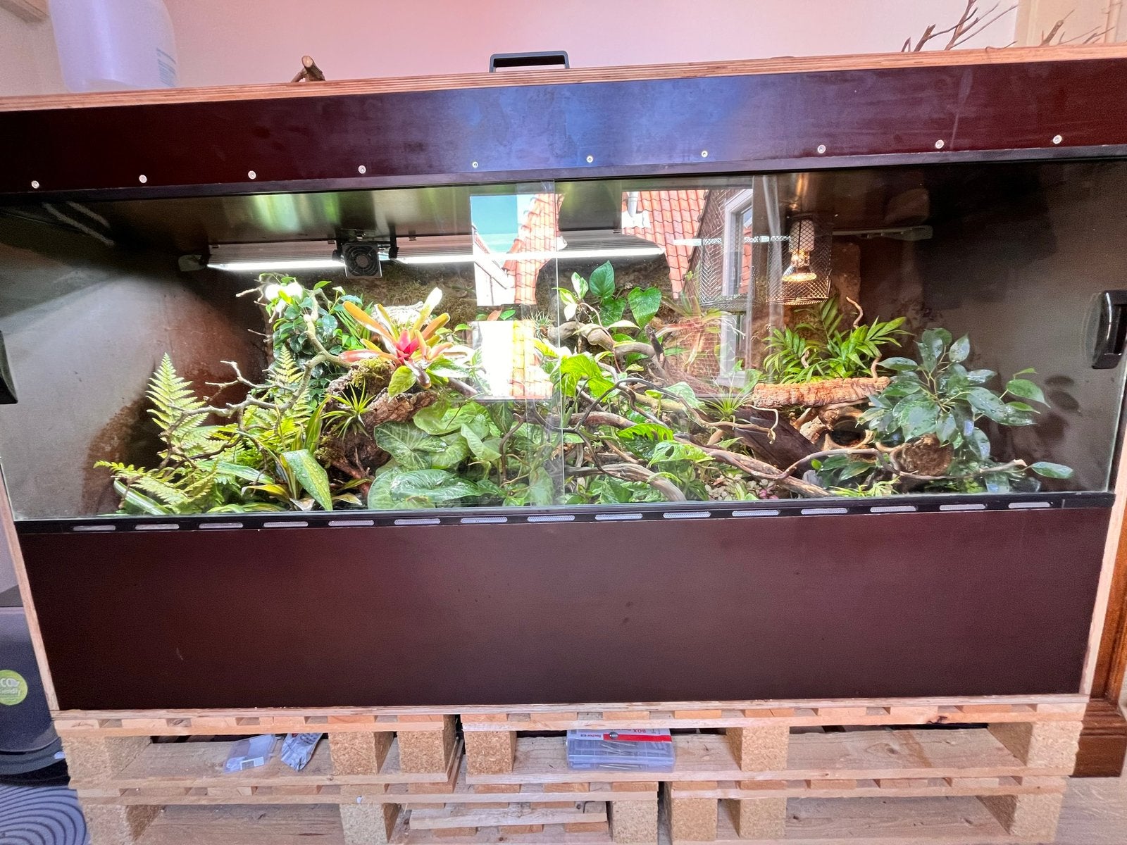 Custom betonplex terrarium | 170  75  90 cm, Dieren en Toebehoren, Ophalen, Gebruikt, Terrarium of Paludarium