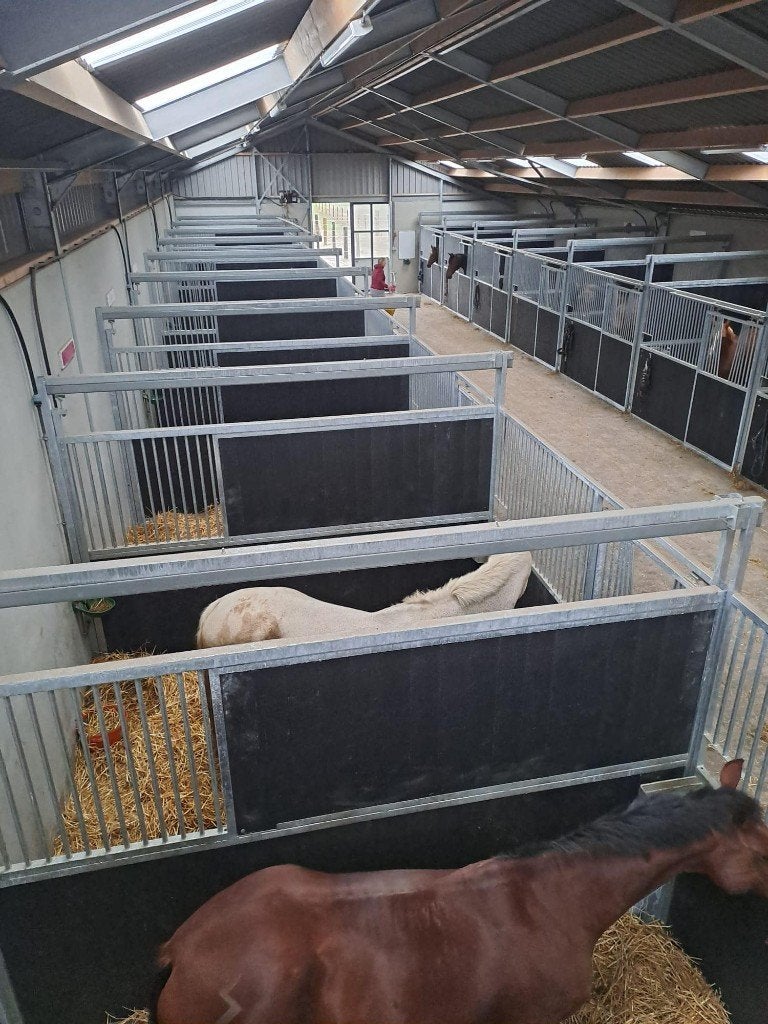 Box vrij, Dieren en Toebehoren, Stalling, 1 paard of pony