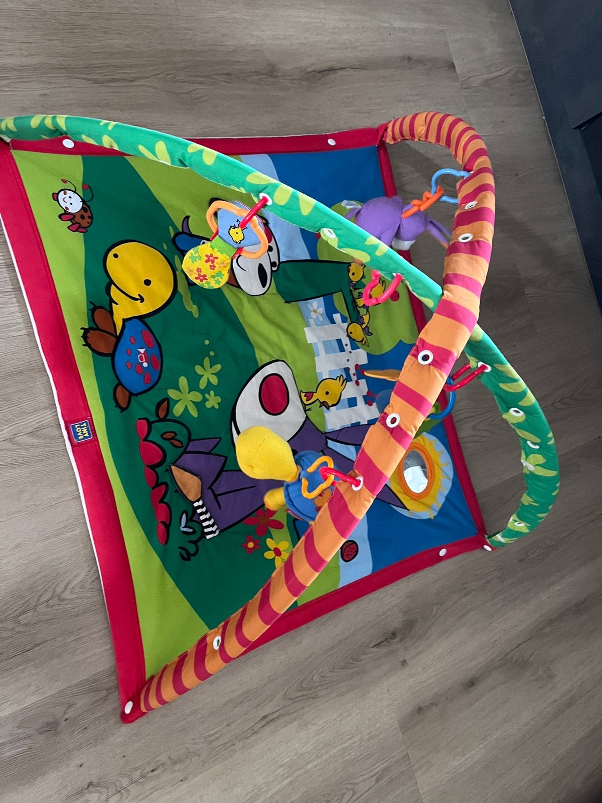 Babygym speelkleed, Ophalen, Gebruikt, Babygym