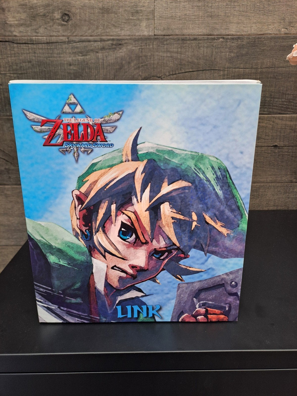 The Legend of Zelda Skyward Sword Link Figuur 2016, Ophalen, Zo goed als nieuw