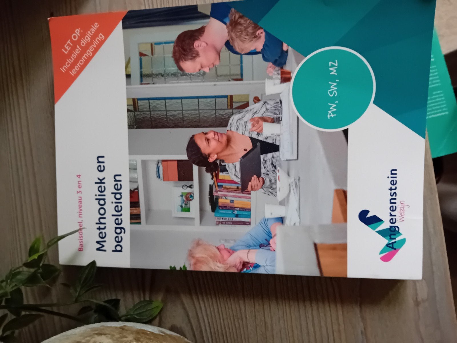 Methodiek en begeleiden, Ophalen of Verzenden, Zo goed als nieuw, Overige niveaus