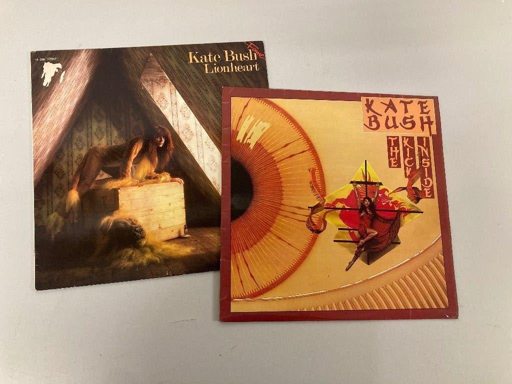 2 kate bush lps, Cd's en Dvd's, Ophalen, LP, Gebruikt, Pop