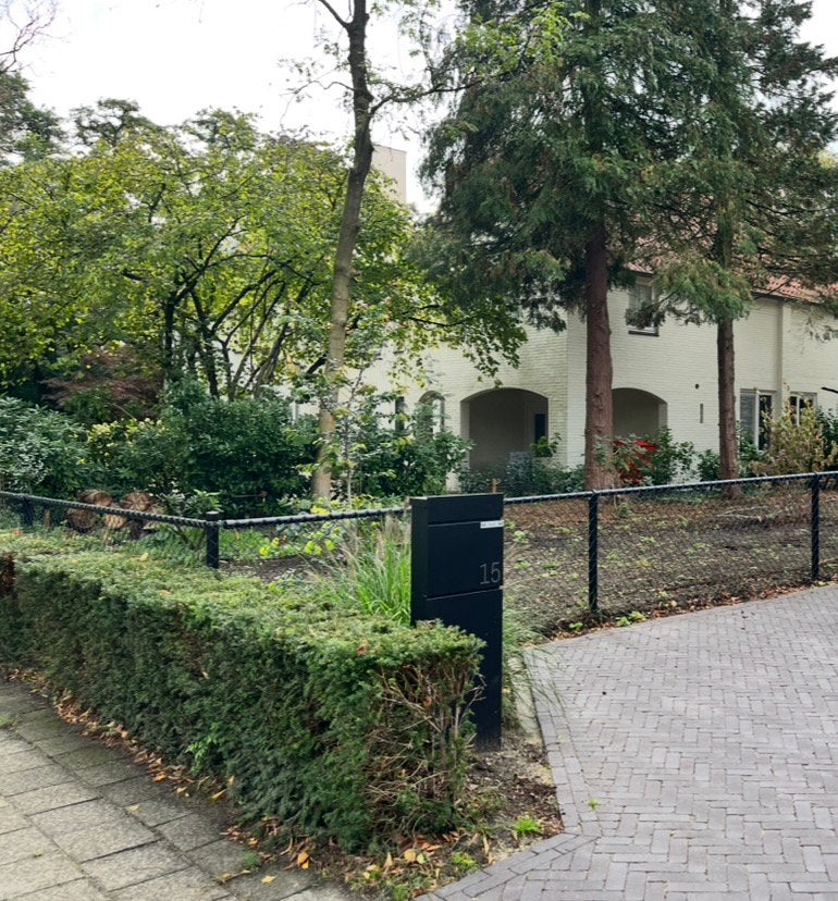 Taxushaag. Ca 8-10 meter. 80 cm hoog., Tuin en Terras, Ophalen, Taxus