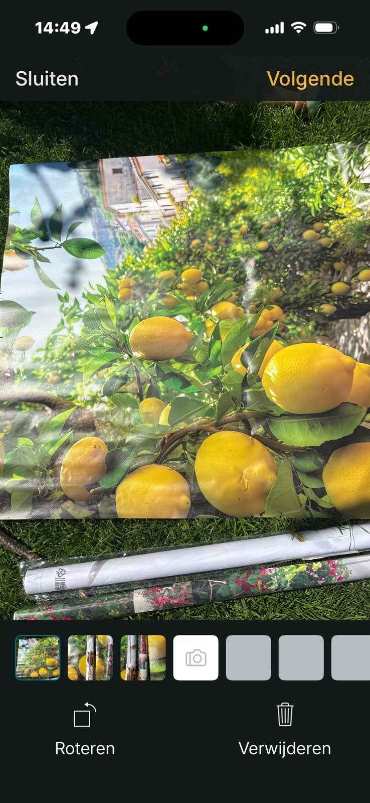 3 x leuke vrolijke tuinposters, Ophalen of Verzenden, Zo goed als nieuw