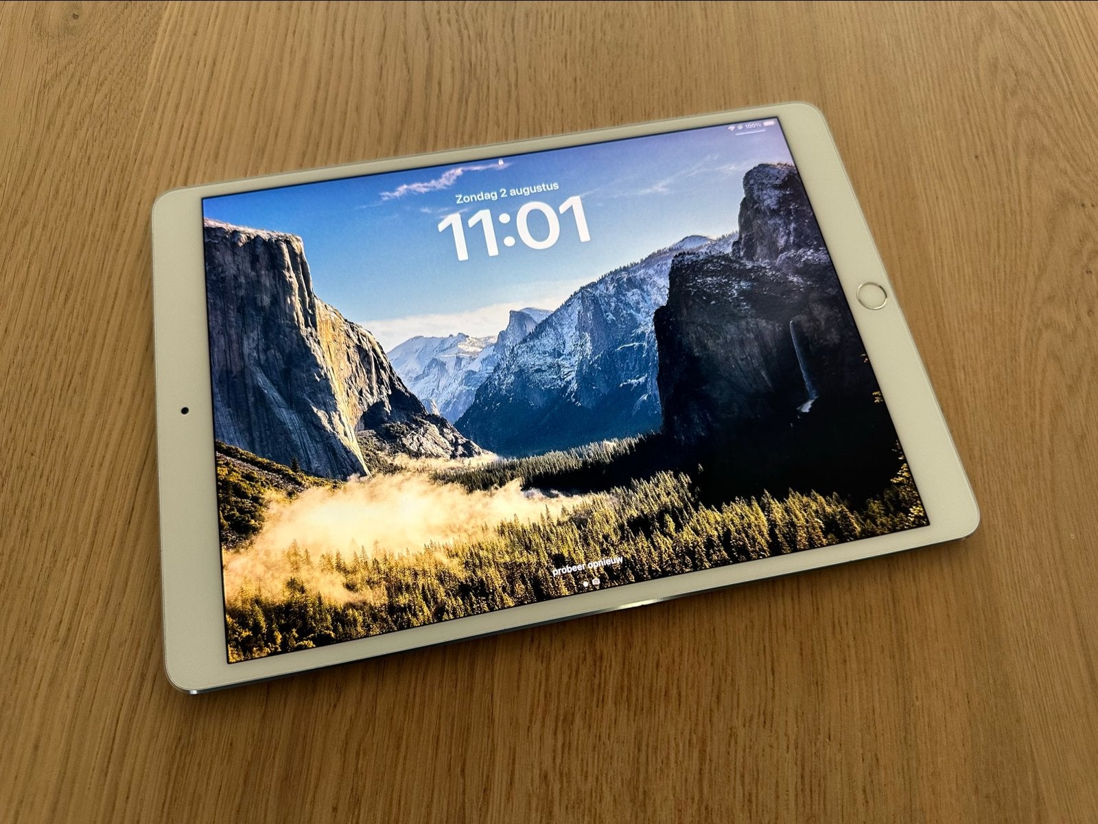 iPad Pro (10,5 inch) 64GB, 10 inch, Gebruikt, Ophalen of Verzenden, Apple iPad Pro
