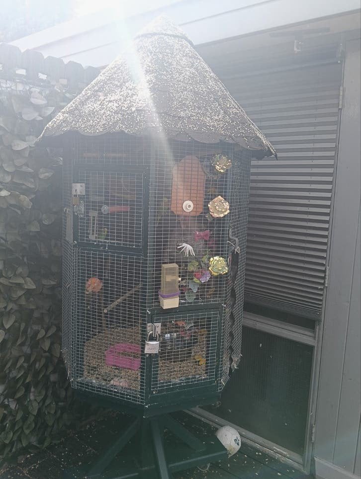 Prachtige ronde houten vogel voilaire, Dieren en Toebehoren, Ophalen, Hout, Volière
