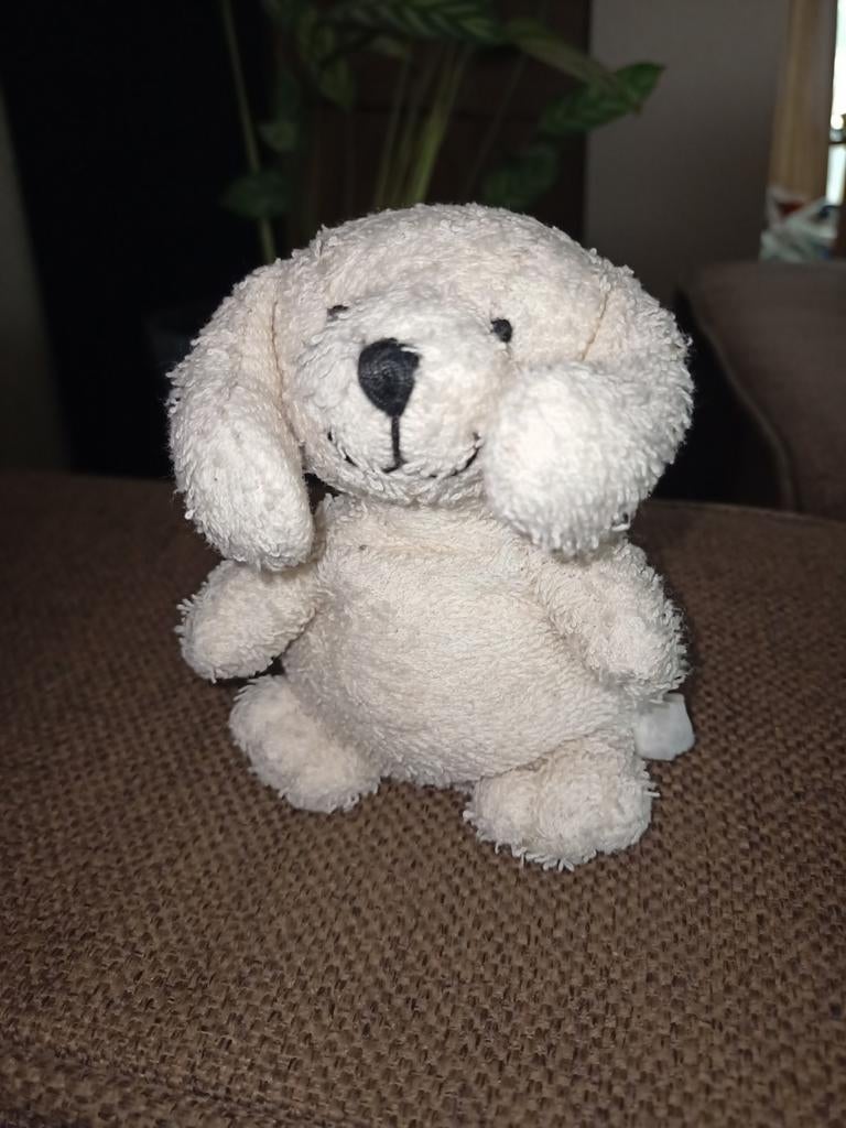 Russ home buddies ecru beanie hondje., Kinderen en Baby's, Speelgoed | Knuffels en Pluche, Gebruikt, Overige merken, Overige karakters