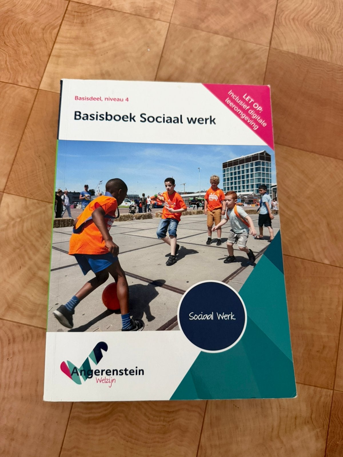 Sociaal Werk Basisboek, Ophalen, Zo goed als nieuw, Overige niveaus, Nederlands