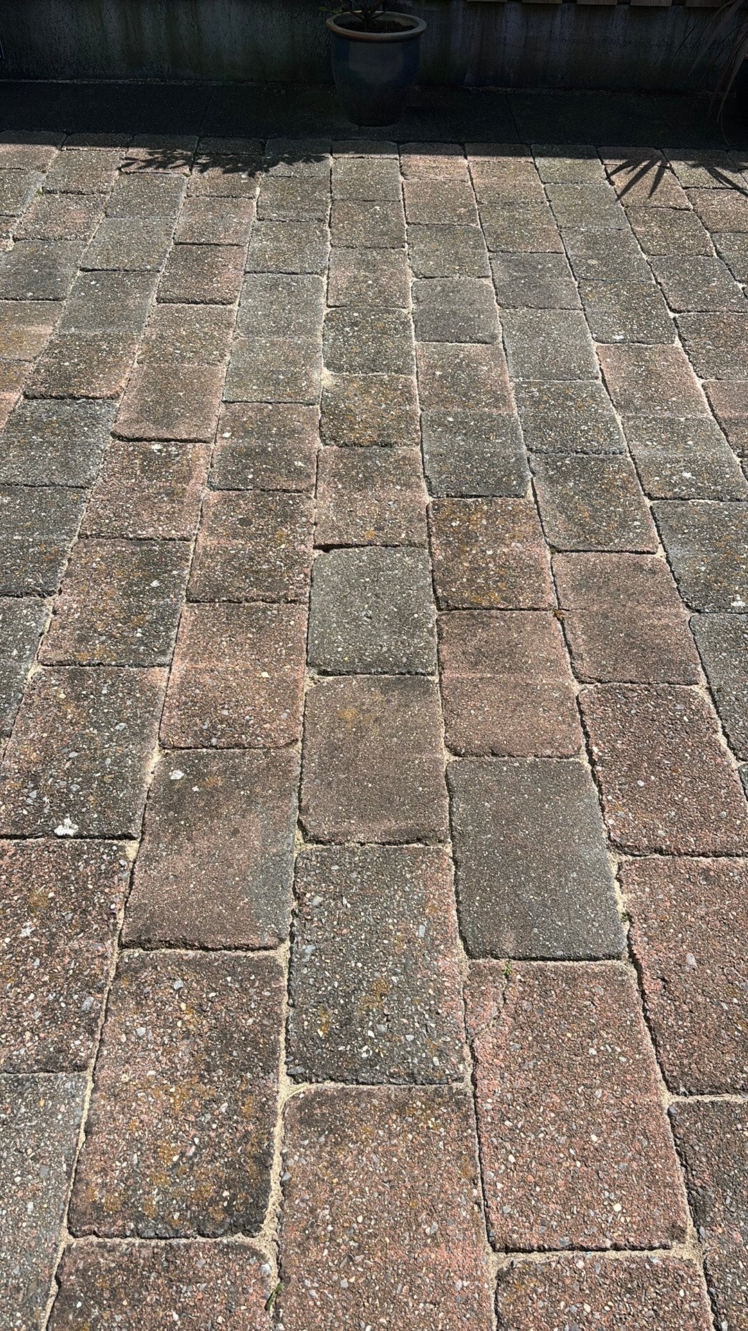 Tuintegels 30x20x6cm gratis afhalen!, Ophalen, Gebruikt, Minder dan 5 m², Beton