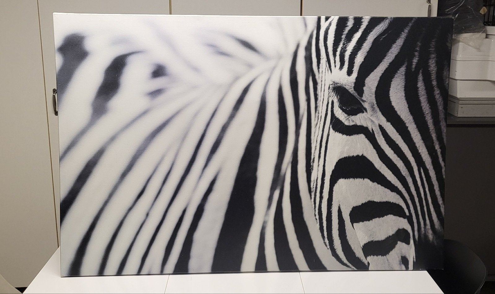 IKEA PÄTTERYD Zebra Canvas - 78x118 cm, Huis en Inrichting, Ophalen, 100 tot 125 cm, 75 – 100, Print