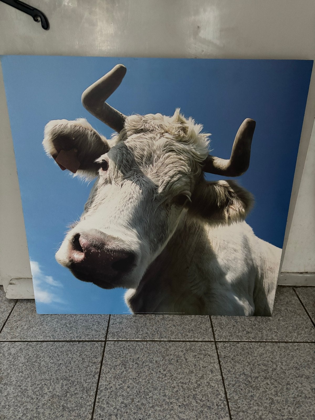 IKEA Schilderij Koe 80x80 cm - 'Transtrand Djur', Ophalen, Zo goed als nieuw, Schilderij, 75 tot 100 cm