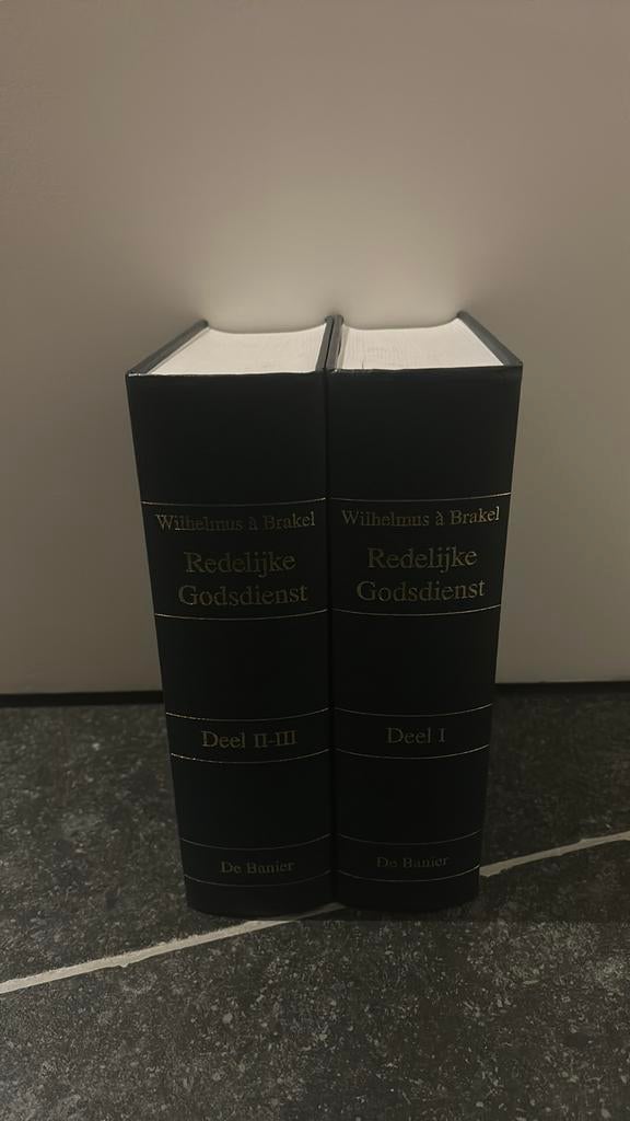 Redelijke Godsdienst - Wil. à Brakel, Boeken, Ophalen of Verzenden, Gelezen