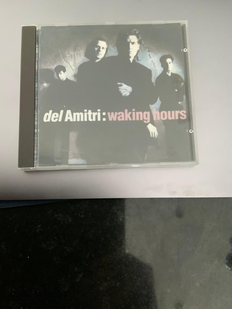 Del Amitri, Waking hours, Verzenden, Zo goed als nieuw, Jazz