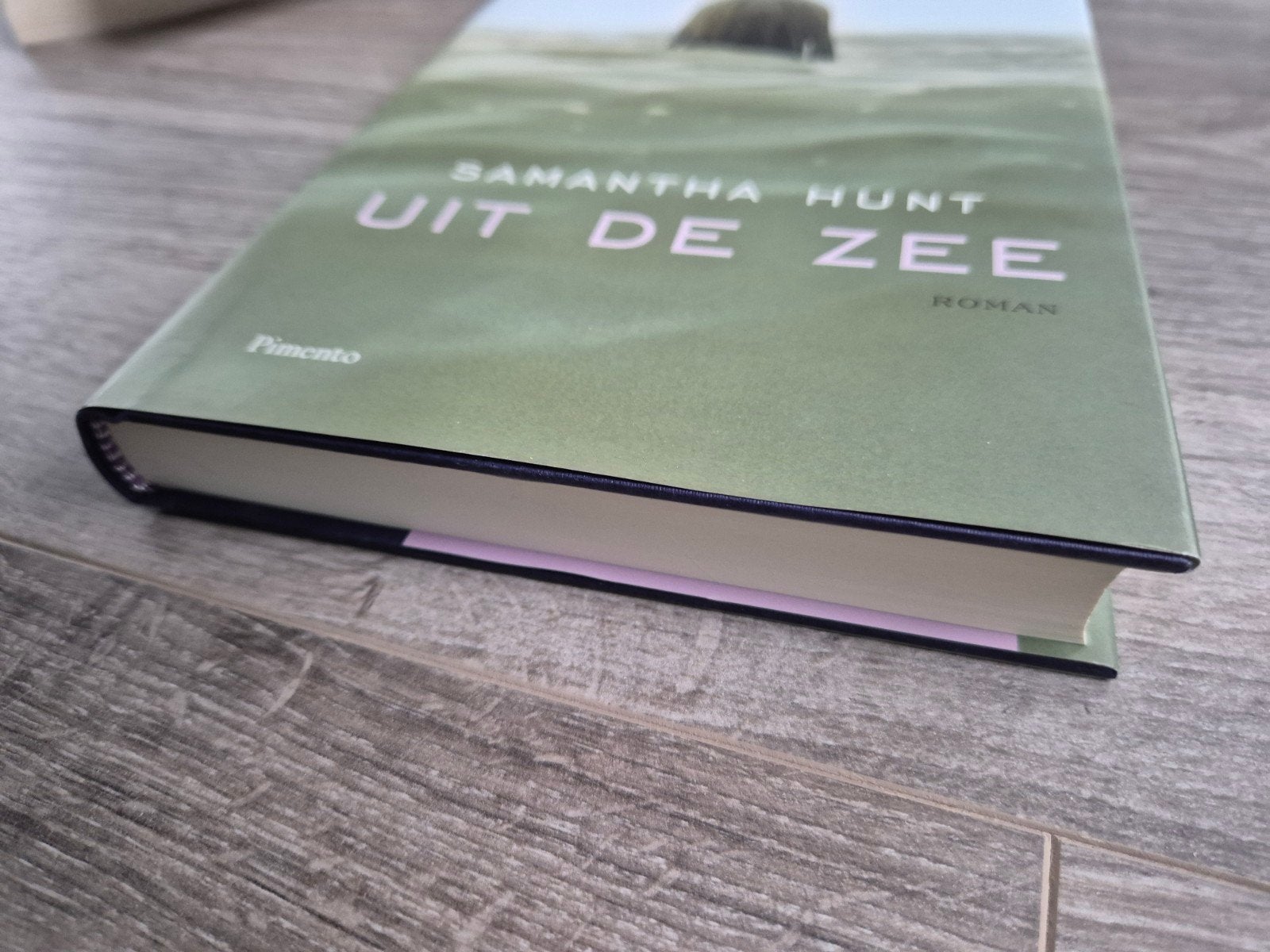 Uit de Zee - Samantha Hunt (Roman), Ophalen of Verzenden, Nieuw, Samantha Hunt, Nederland