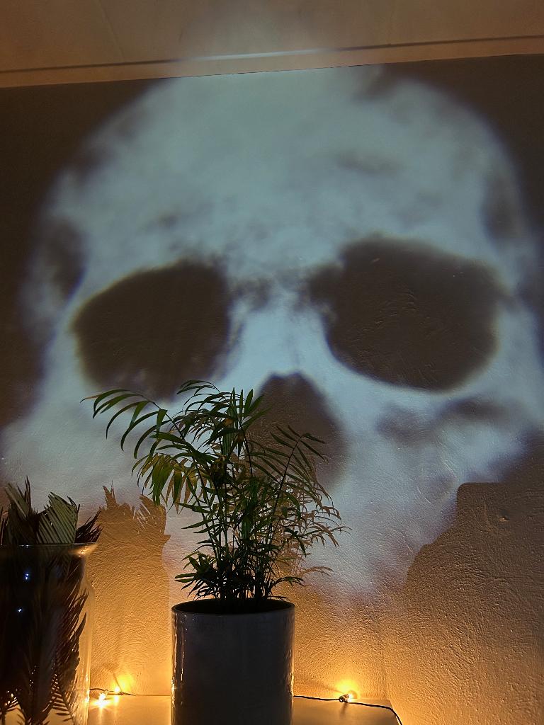 Skull Projector Lamp – USB, Glas, Nieuw, Ophalen of Verzenden, Minder dan 50 cm