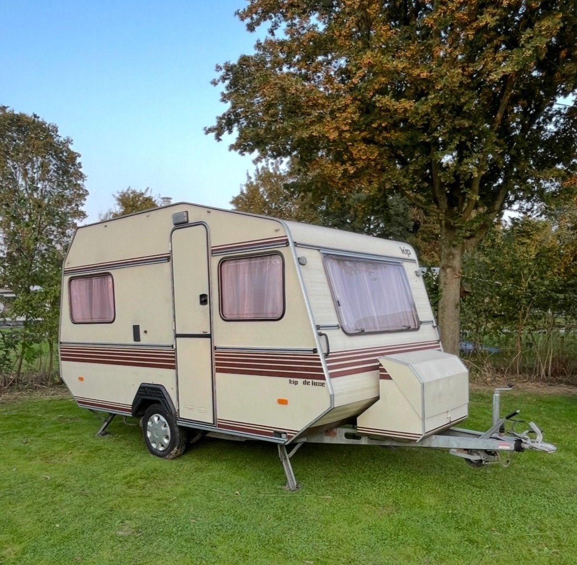 Kip de Luxe (1982), Kip, Treinzit, Particulier, 500 - 750 kg