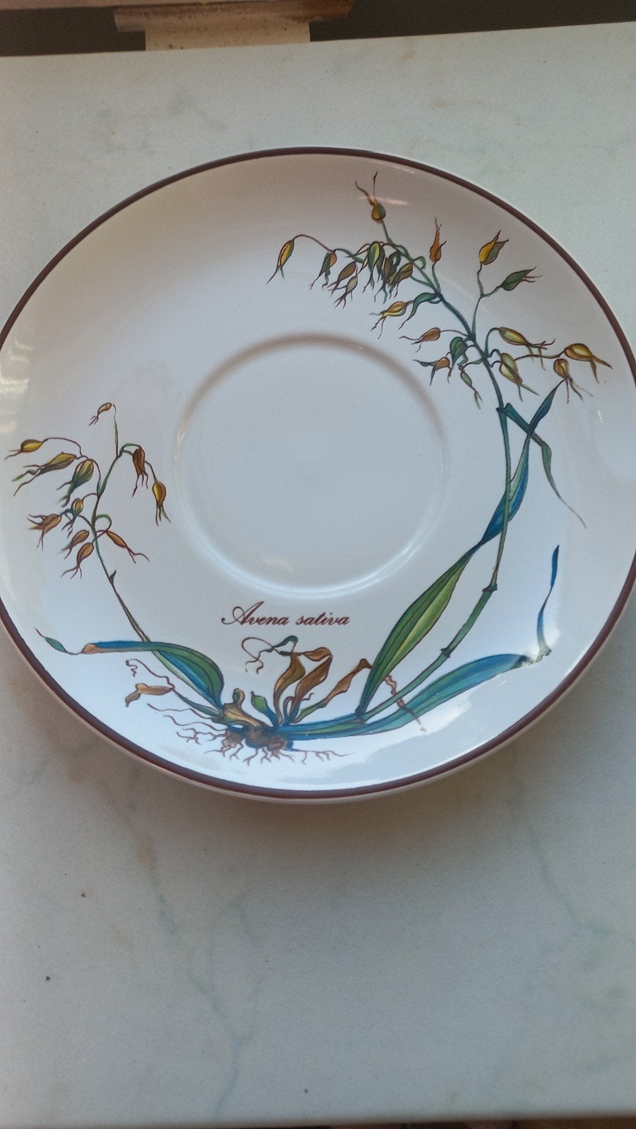 GEZOCHT soepkom botanica villeroy en boch, Ophalen of Verzenden, Porselein