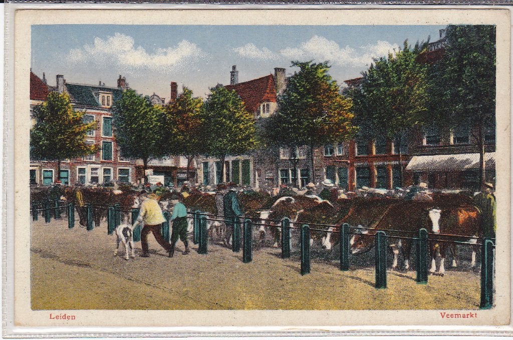 Leiden Veemarkt oude kaart, Verzenden, 1920 tot 1940, Ongelopen, Zuid-Holland