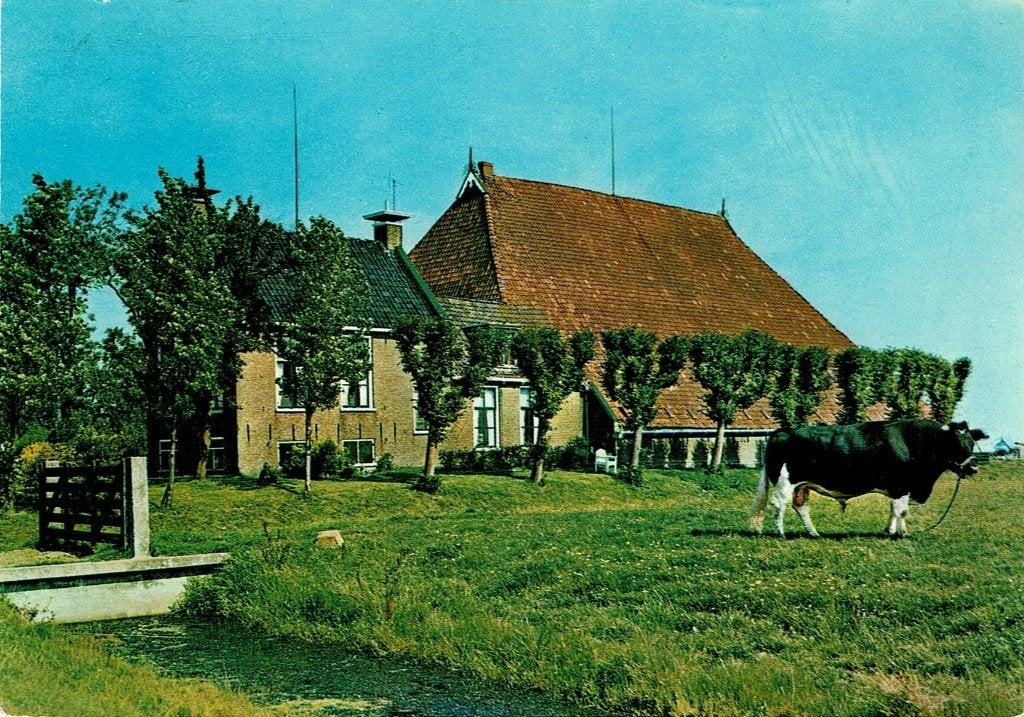 Mooi Friesland - Friese boerderij, Ophalen of Verzenden, 1980 tot heden, Gelopen, Friesland