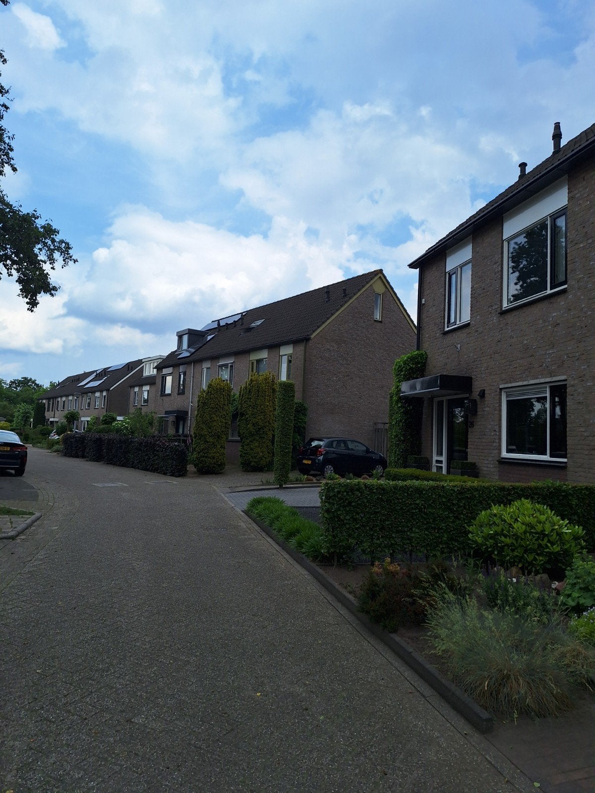 Gezocht Sara