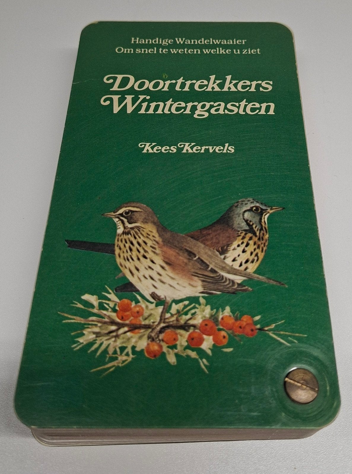 Doortrekkers Wintergasten. Kees Kervels., Ophalen of Verzenden, Vogels