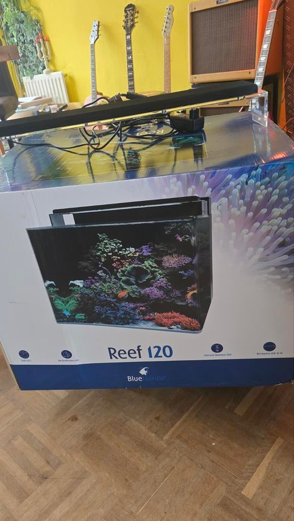 Zeewater bak Reef 120 Blue Marine, Dieren en Toebehoren, Ophalen