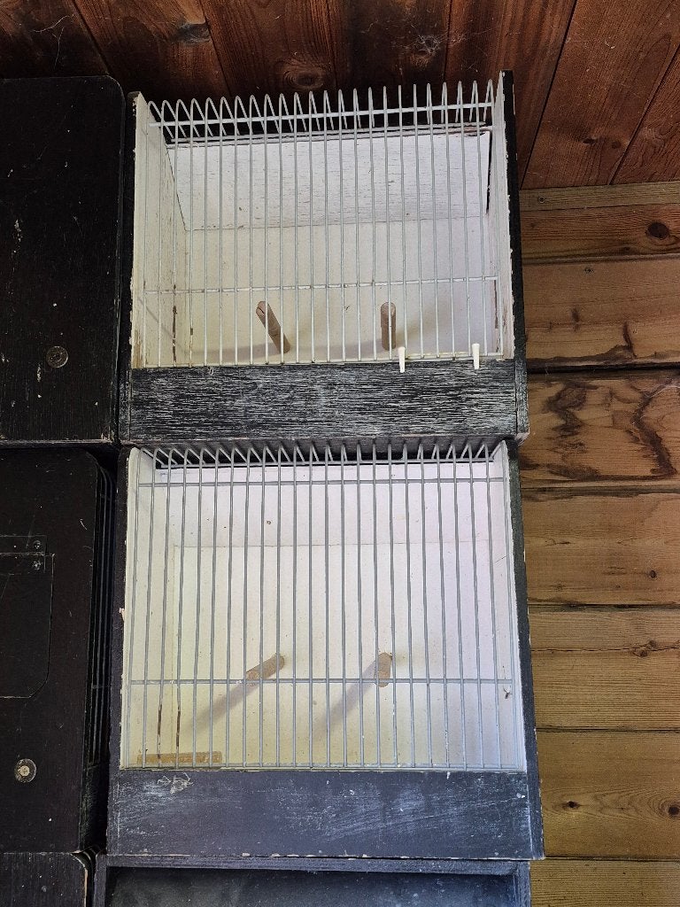 TT kooitjes HOUT, Dieren en Toebehoren, Vogels | Hokken en Kooien, Ophalen, Hout, Vogelkooi