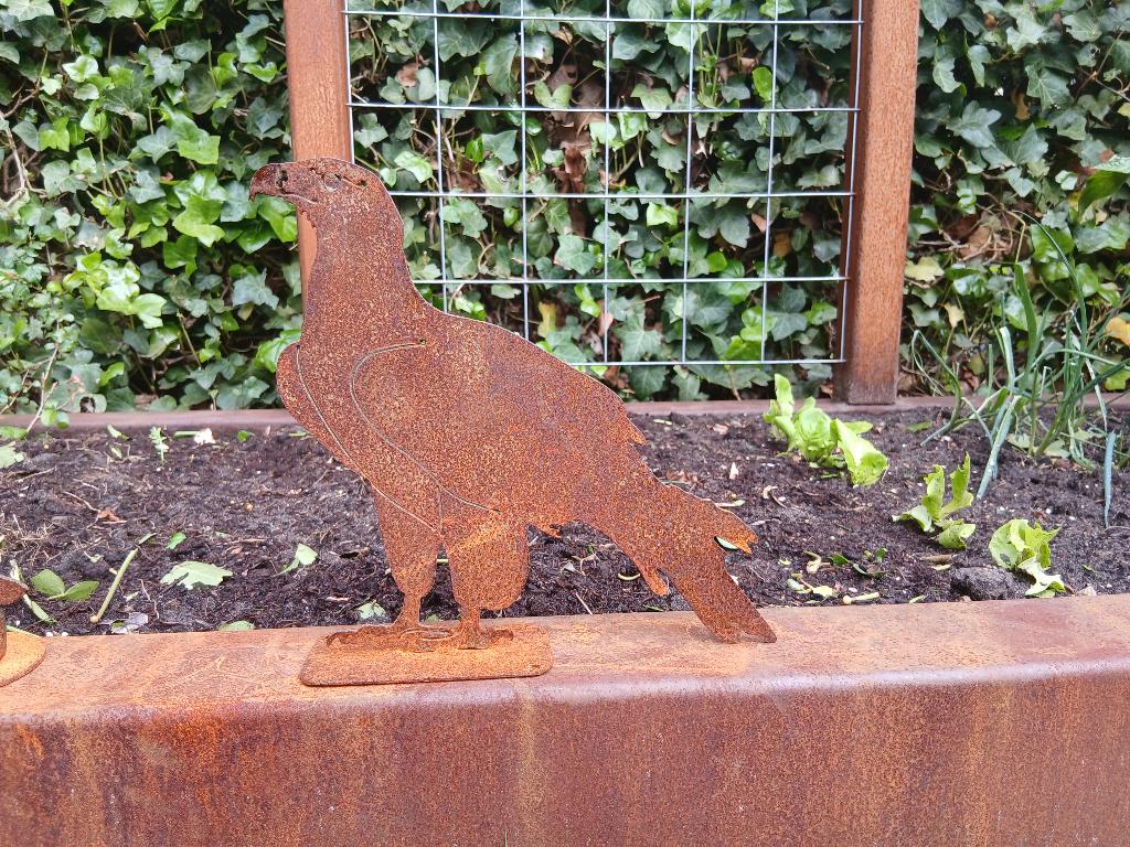 Tuindecoratie cortenstaal roofvogel, Tuin en Terras, Ophalen of Verzenden, Nieuw, Metaal, Overige typen