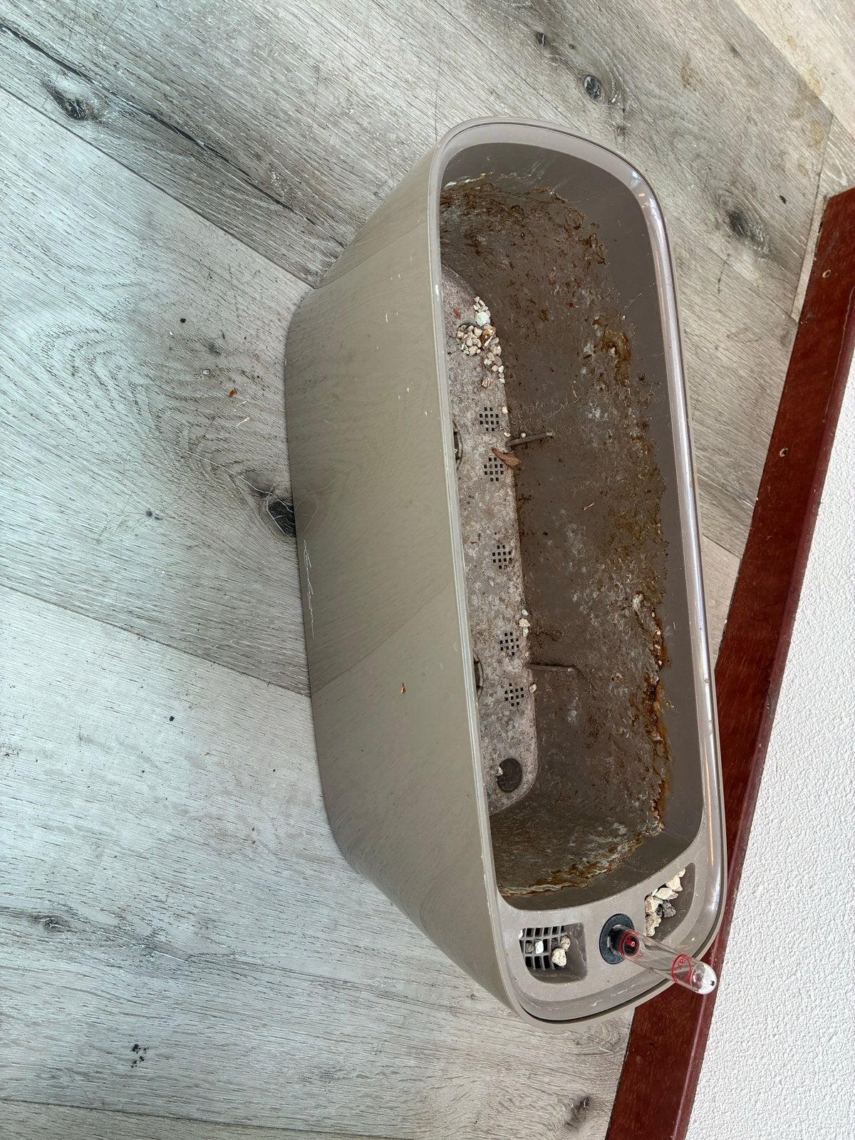 4x Lechuza Plantenbak met bewateringssysteem - Beige, Tuin en Terras, Ophalen, Gebruikt