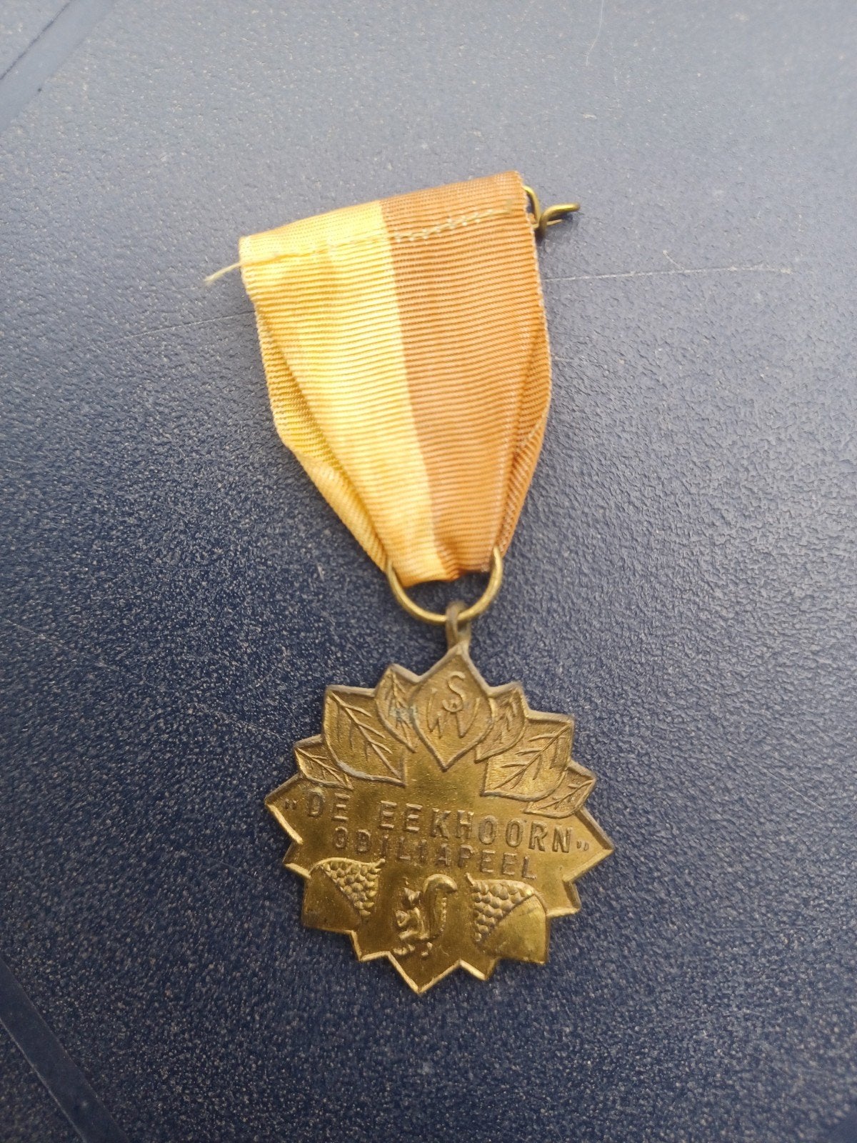 Medaille WSV De Eekhoorn Odiliapeel 2e lustrum, Ophalen of Verzenden, Overige materialen, Nederland