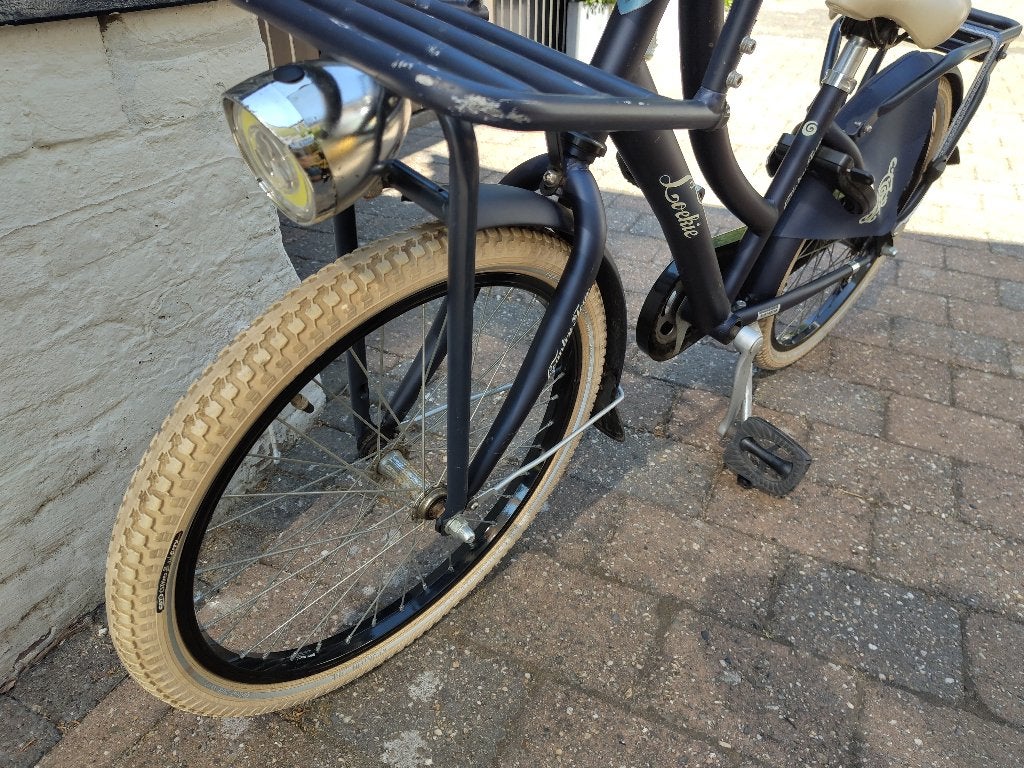 Loekie kinderfiets 20 inch , meiden fiets , blauw, Ophalen, Terugtraprem, Gebruikt, Loekie