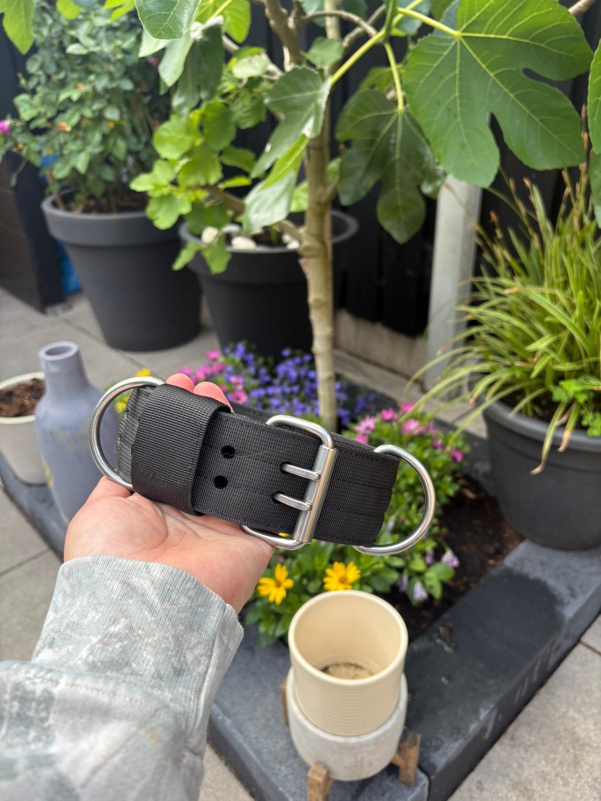 Nieuwe 5cm brede halsband, Dieren en Toebehoren, Ophalen of Verzenden, Nieuw