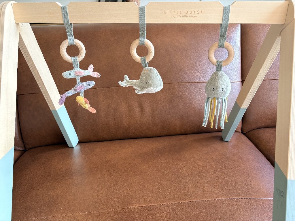 Little Dutch Babygym Ocean Dreams Mint, Ophalen, Gebruikt, Babygym