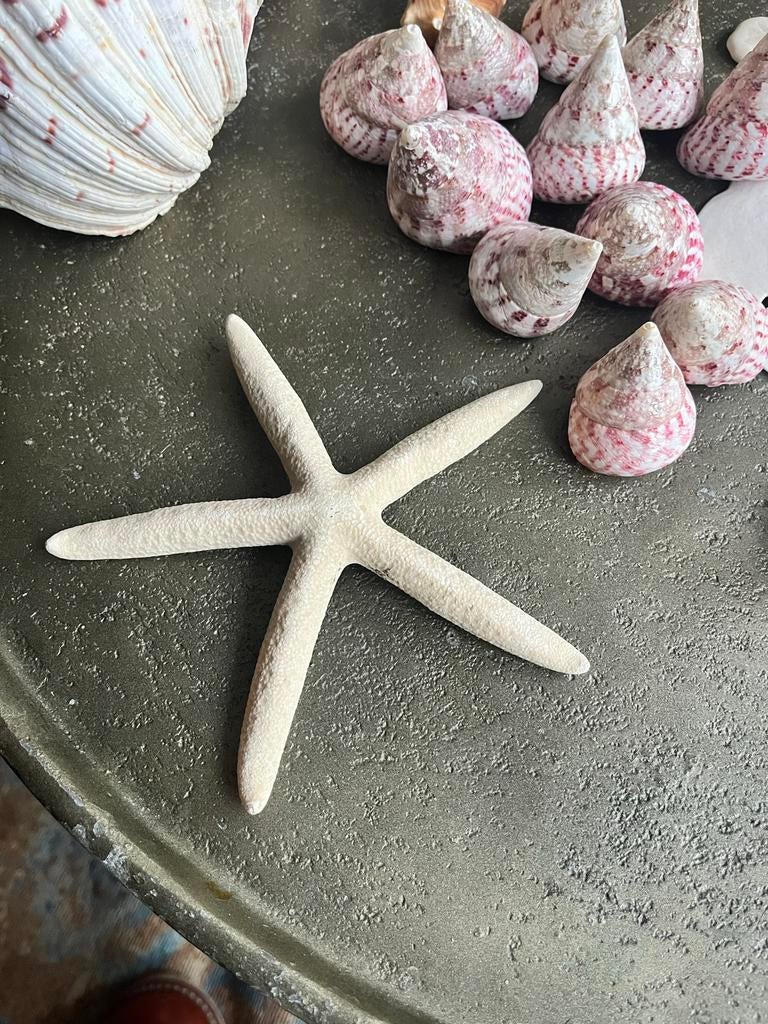 Witte Zeester Decoratie, Ophalen of Verzenden, Zo goed als nieuw
