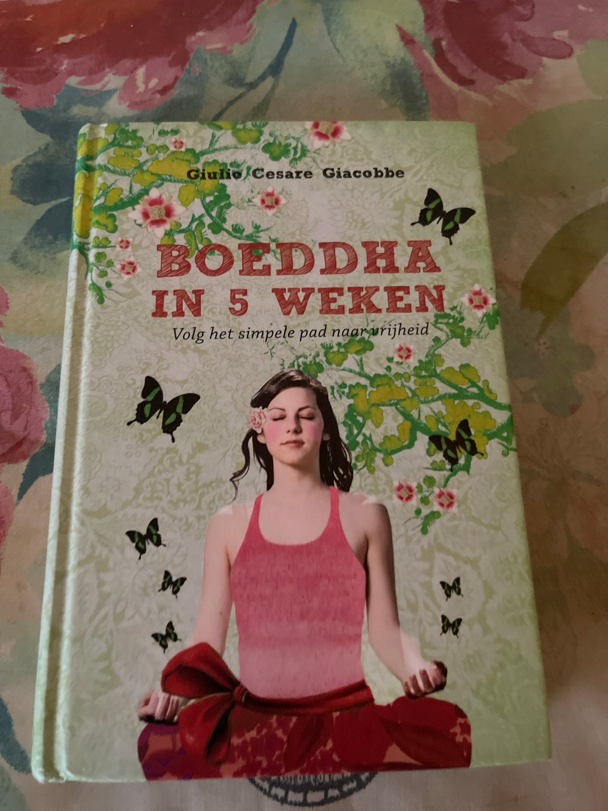 Boeddha in 5 Weken: Volg het simpele pad naar vrijheid, Ophalen of Verzenden, Zo goed als nieuw, Meditatie of Yoga, Instructieboek