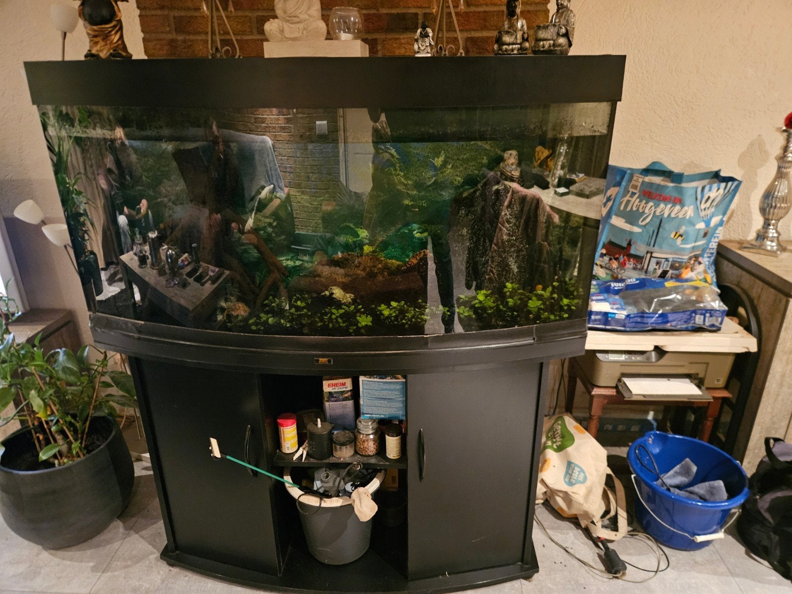 aquarium compleed, Ophalen, Inclusief deksel, Gebruikt, Gevuld zoetwateraquarium