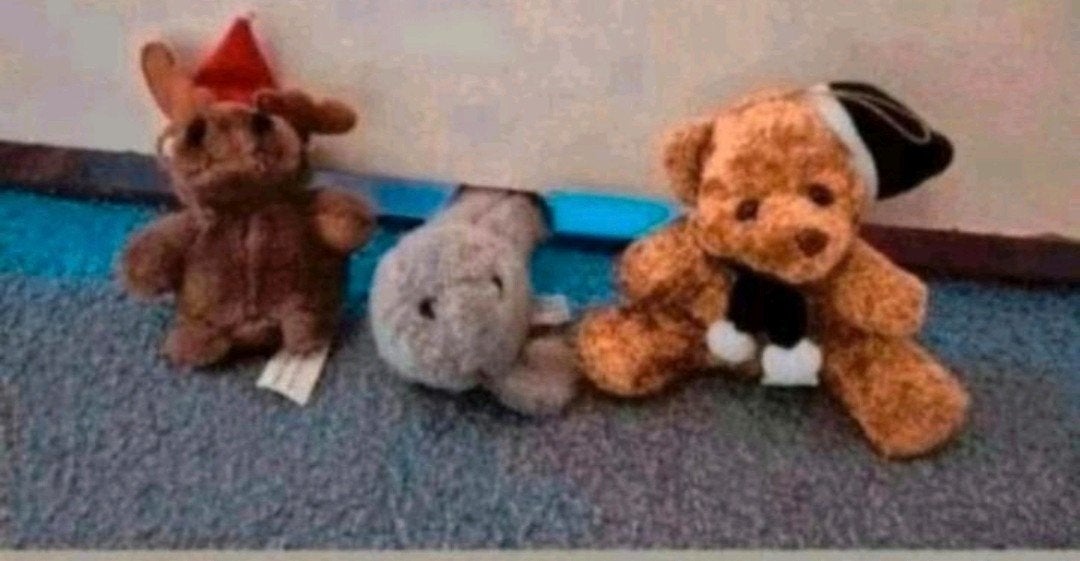 Leuke knuffels: hond, zeehond en beer - onbeschadigd, Overige merken, Overige karakters, Overige typen, Ophalen of Verzenden