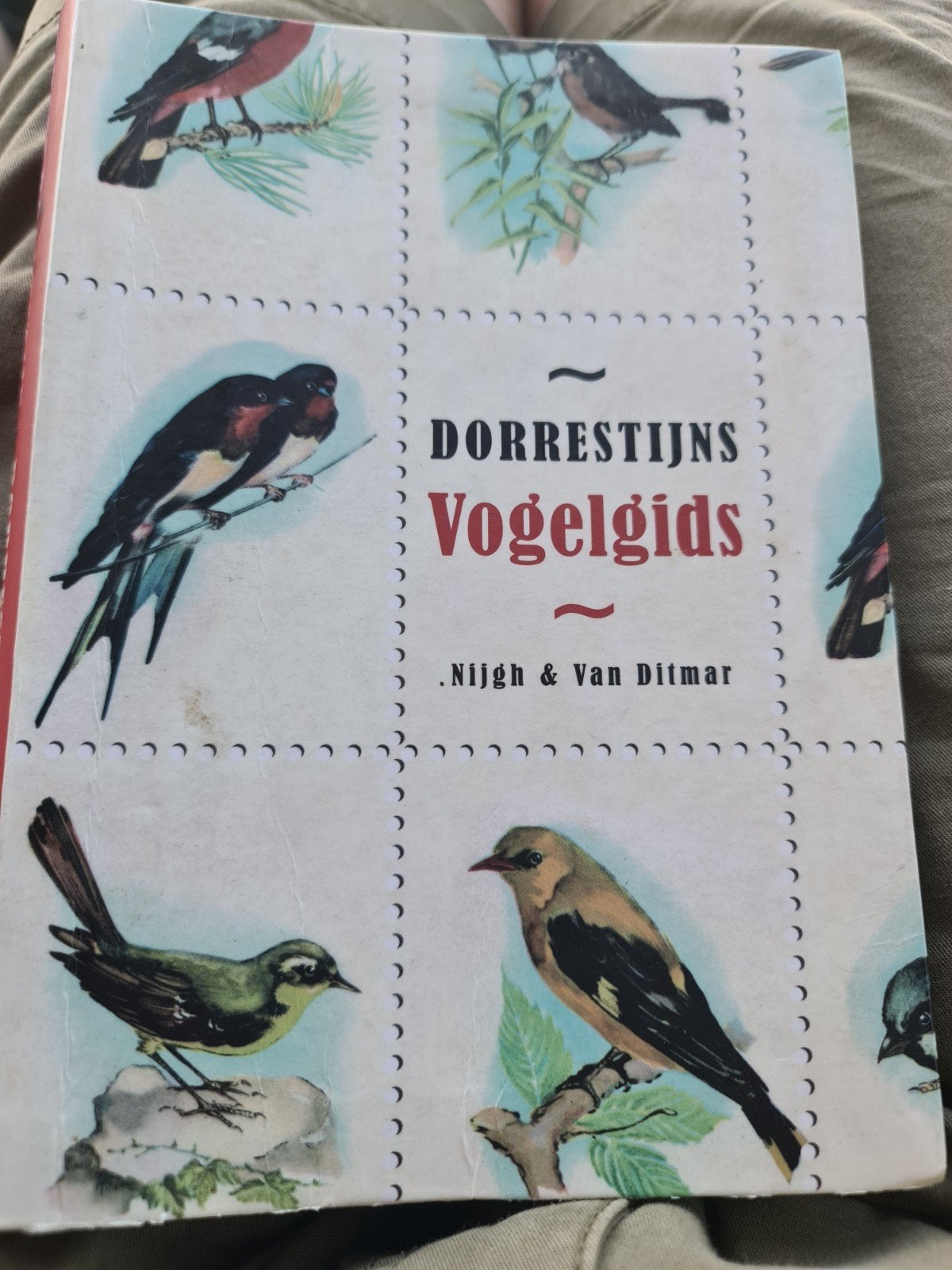 Dorrestijns Vogelgids, Boeken, Ophalen of Verzenden, Zo goed als nieuw, Vogels, Hans Dorrestijn