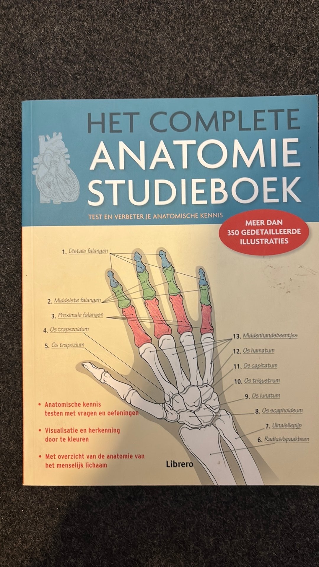 Het Complete Anatomie Studieboek – Fysiotherapie, Ophalen of Verzenden, Beta, Zo goed als nieuw