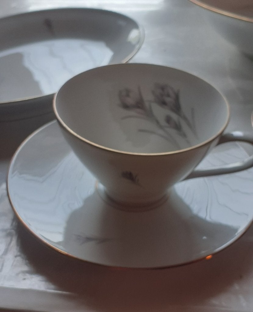 12 persoons-servies, Ophalen