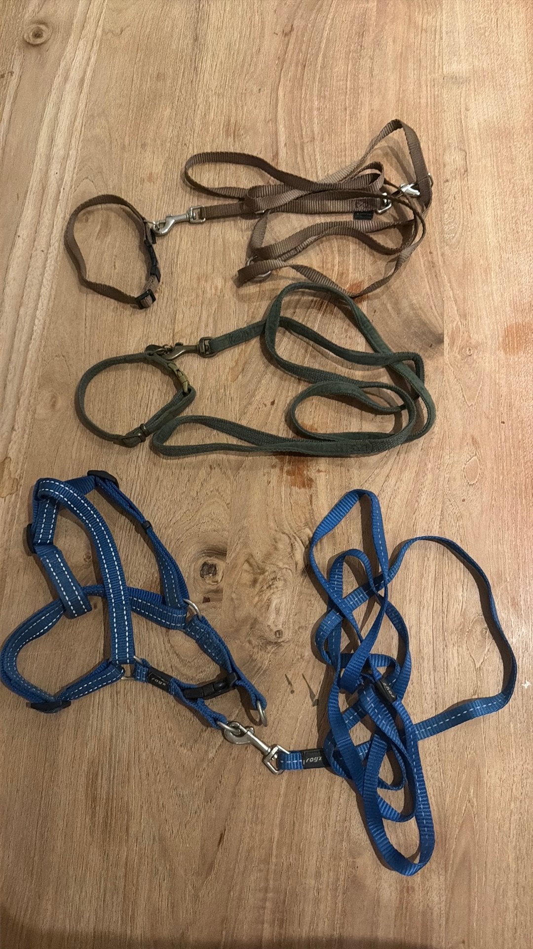 Puppy tuigje en riempjes met halsbandje (3 stuks), Ophalen, Zo goed als nieuw