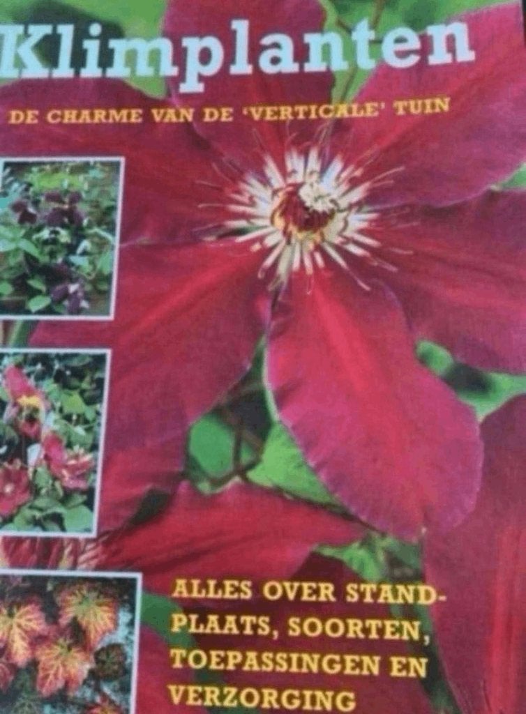 KLIMPLANTEN HANNEKE VAN DIJK, Ophalen of Verzenden, Zo goed als nieuw, Tuinieren en Tuinplanten
