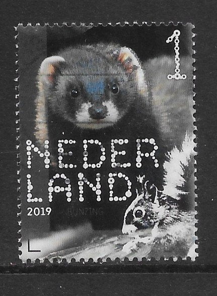 2019, Zoogdieren, Bunzing [3716] (K0810), Ophalen of Verzenden