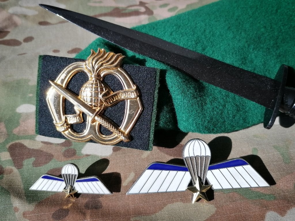 Metalen parawing A (mariniers/luchtmobiel), Verzamelen, Ophalen of Verzenden, Landmacht, Nederland, Lintje, Medaille of Wings