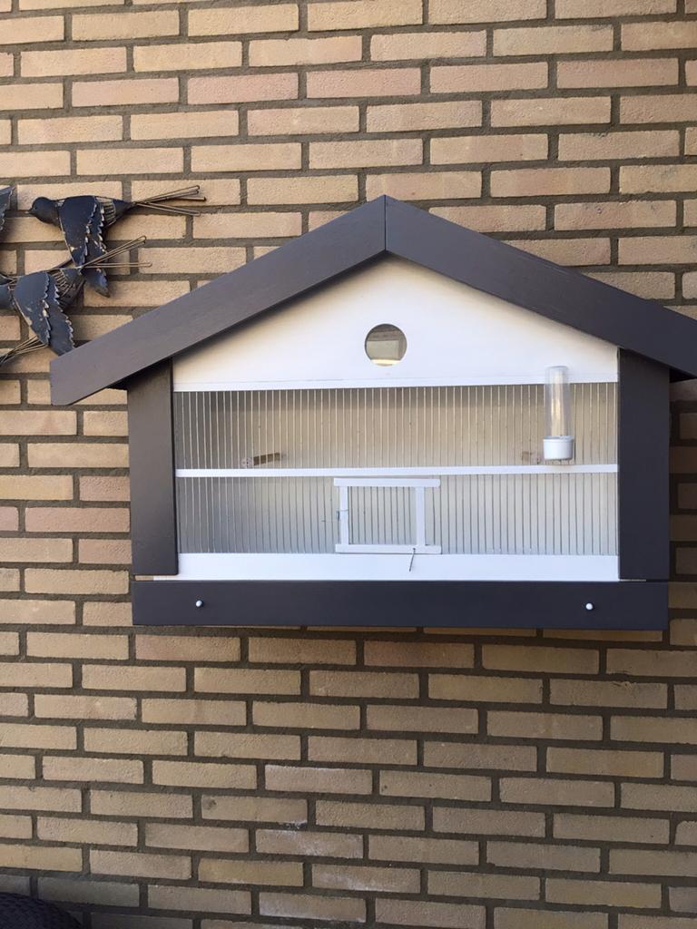 Lijster zangvogelkooi geheel in nieuw staat,mooi en degelijk, Ophalen, Zo goed als nieuw, Hout, Broedkooi of Kweekkooi